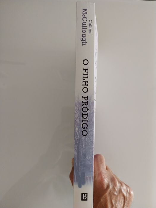 Livro: O filho pródigo