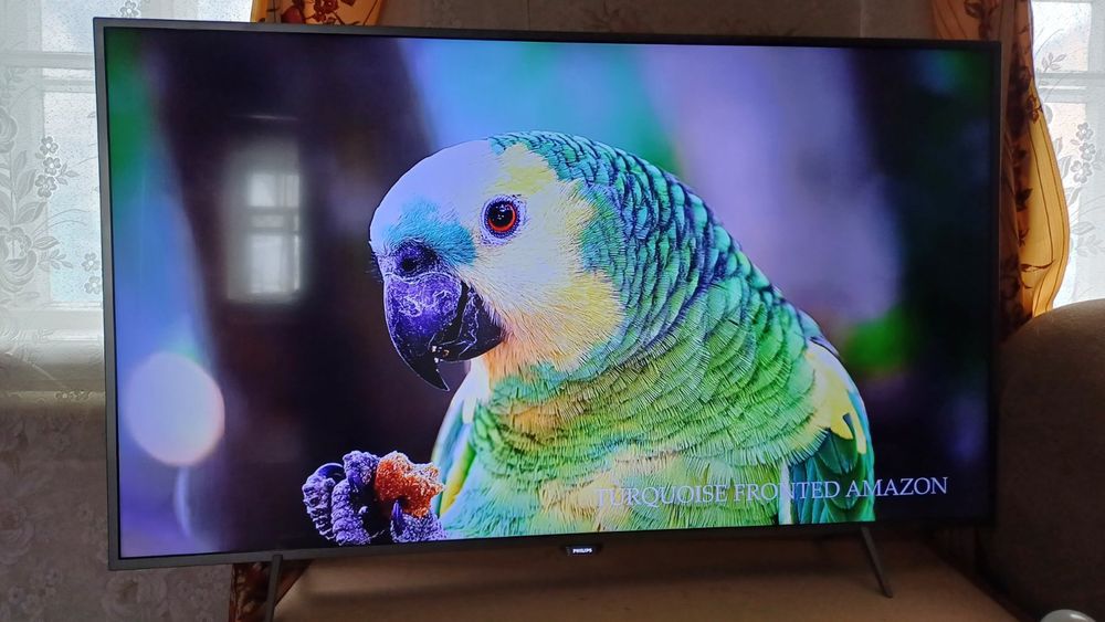 Philips 55 диагональ