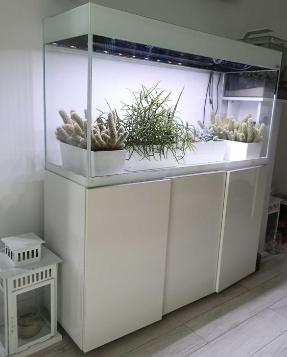 Akwarium Aquael glossy 120 cm 260 l
