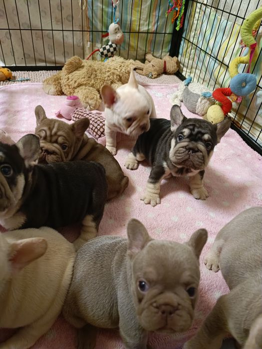 Ось така банда хлопці та дівчата