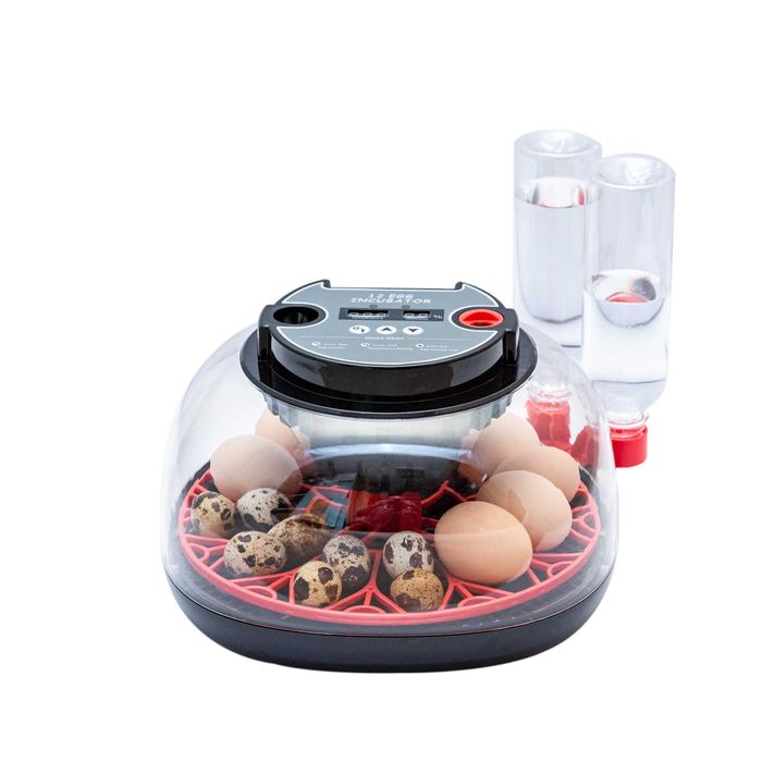 AUTOMATYCZNY inkubator na 12 jaj KLUJNIK wylęgarka na jaja kurze kacze