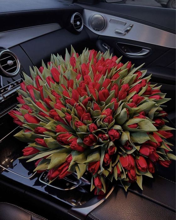 101 тюльпан  львів | ТЮЛЬПАНИ ЛЬВІВ | Тюльпани