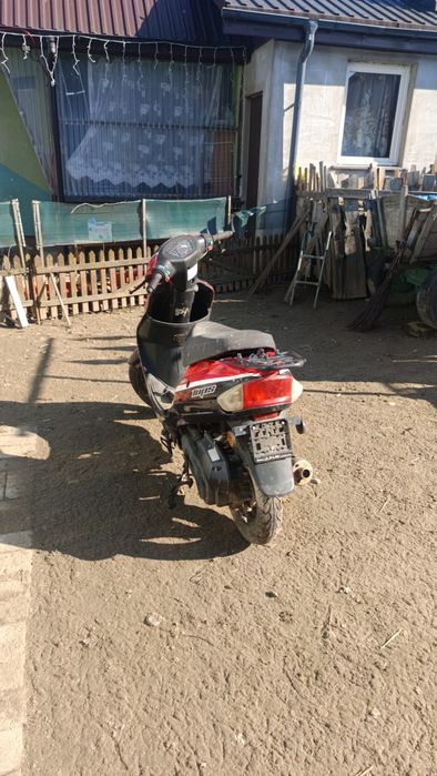 ZIP Tops 50 Czytać Opis