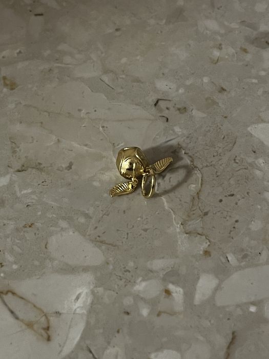 Charms harry potter znicz