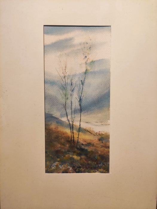 Xavier Galiza - pintura a aguarela