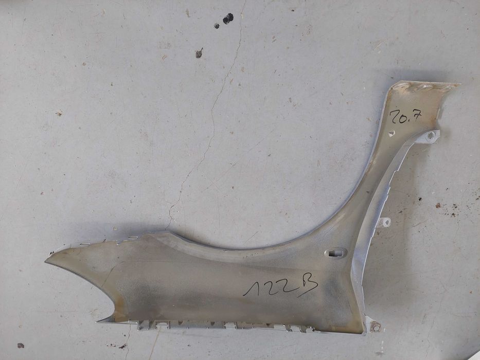 guarda lama esq Peugeot 307