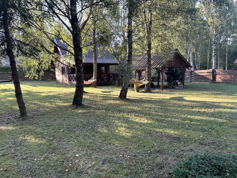 Dom – Gulbity, powiat ostródzki - Widok 4