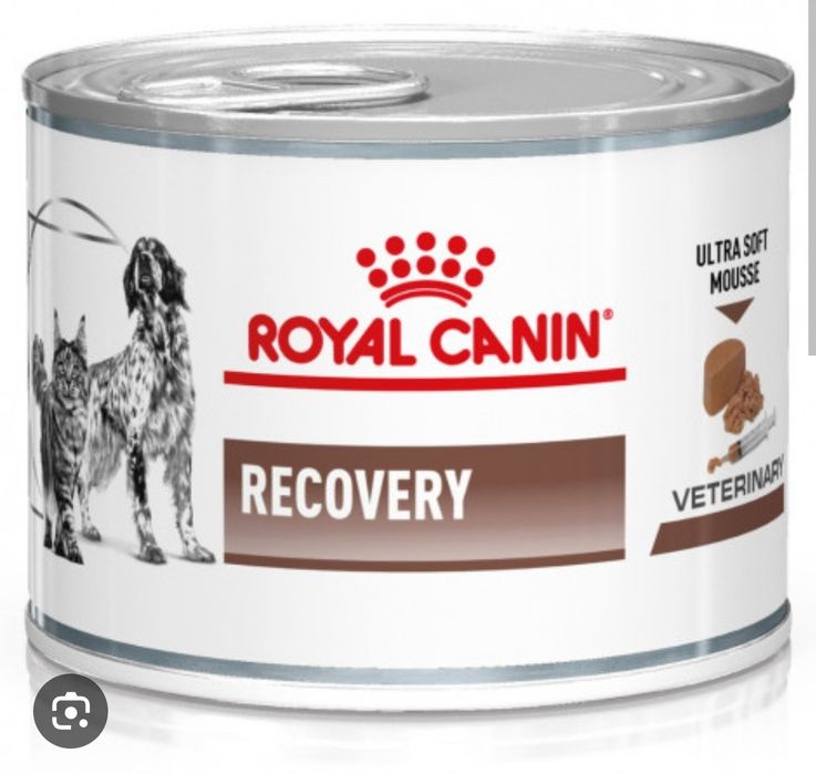 Comida Royal caniny pupy mini