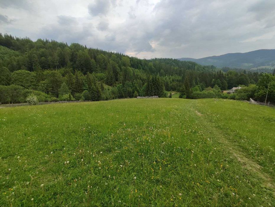 Продається земельна ділянка в серці Карпат ( Кривопільський перевал )