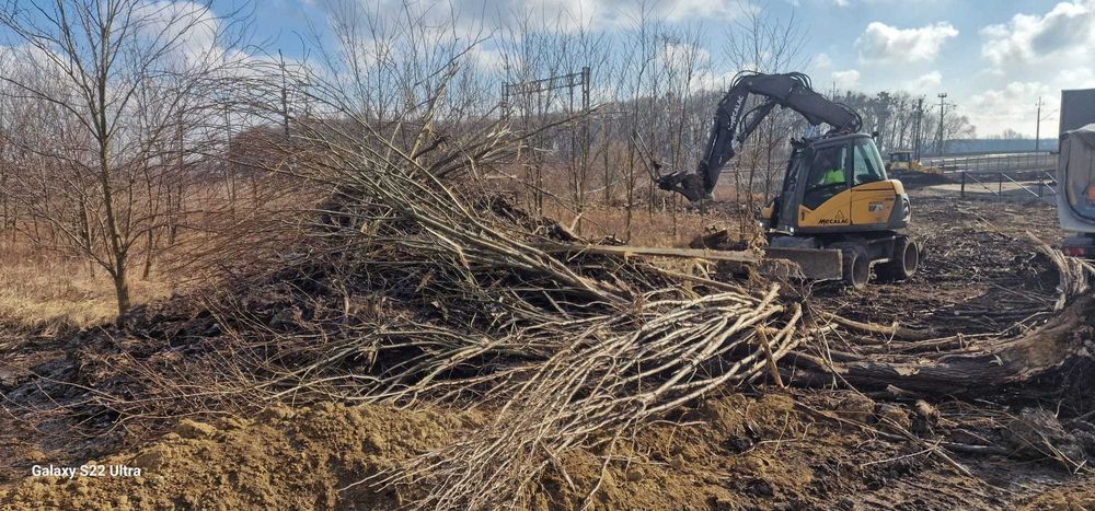 WYCINKA DRZEW • prace pielęgnacyjne