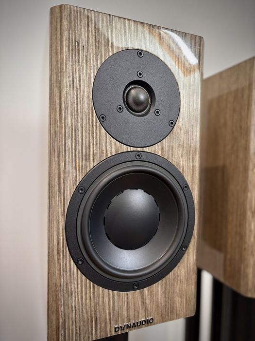 Dynaudio Special 40