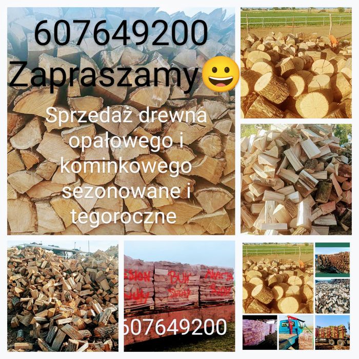 Dąb akacja jesion buk grab sosna