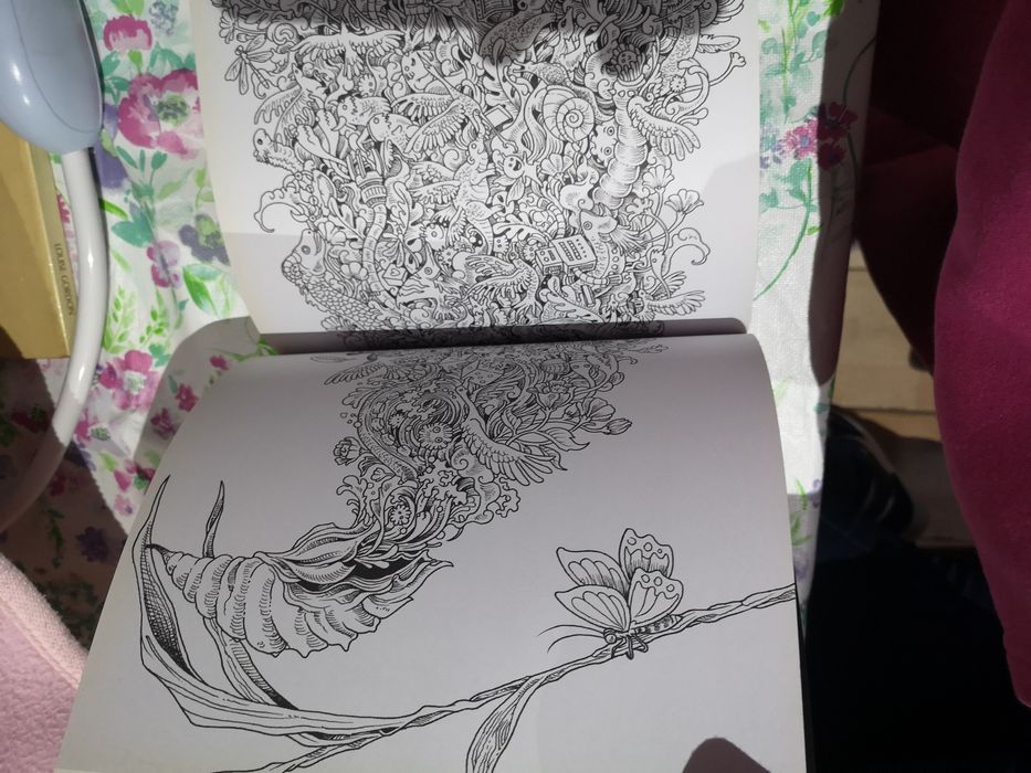 Imagimorphia livro de colorir