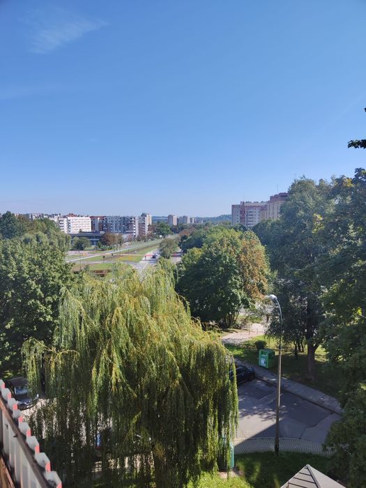 Zdjęcie 8