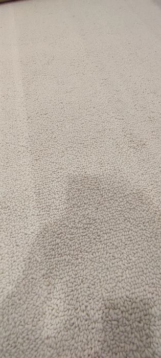 Tapete Lã Feltrada Tapeçarias Ferreira de Sá 210x250cm