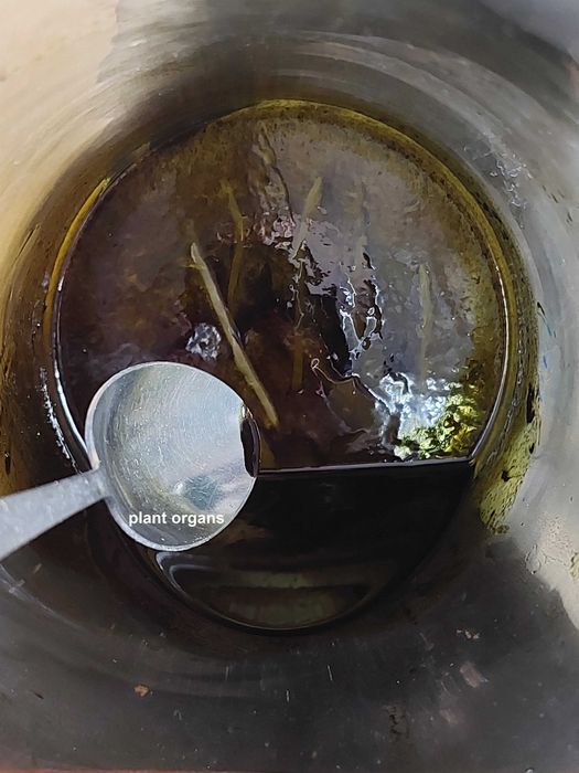 OLEJ CBD 15%, własna produkcja, NAJWYŻSZA jakość!