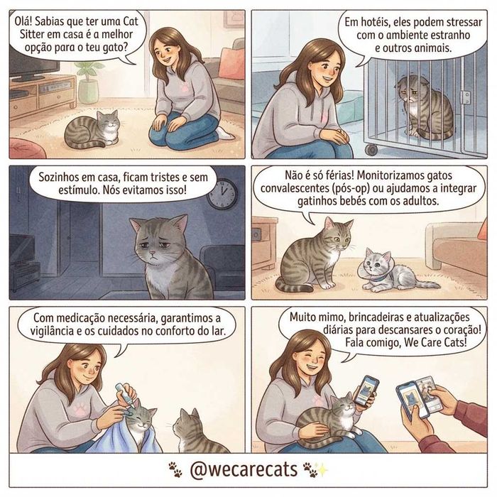 Gatil, Cat Sitter, ama de gatos, nanny of cats