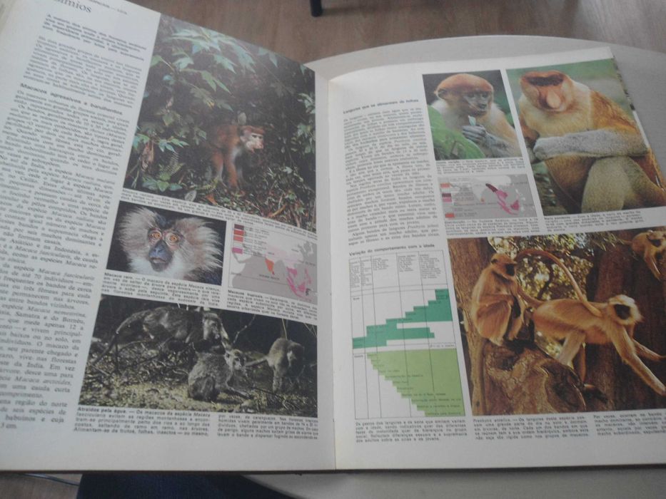 Animais da Terra das SRD