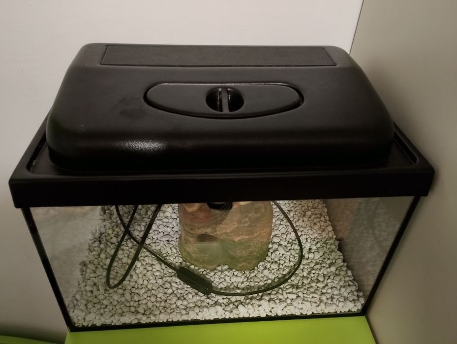 Akwarium z pokrywą 25l   40x25x25