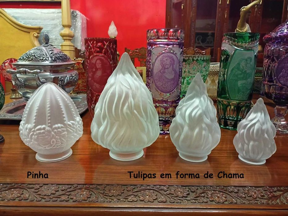 Tulipas Chama Pinhas Candeeiro Vidro