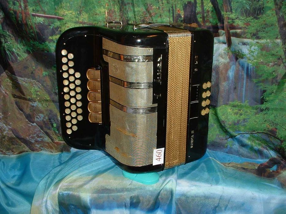 Promoção de Acordeões de concertinas