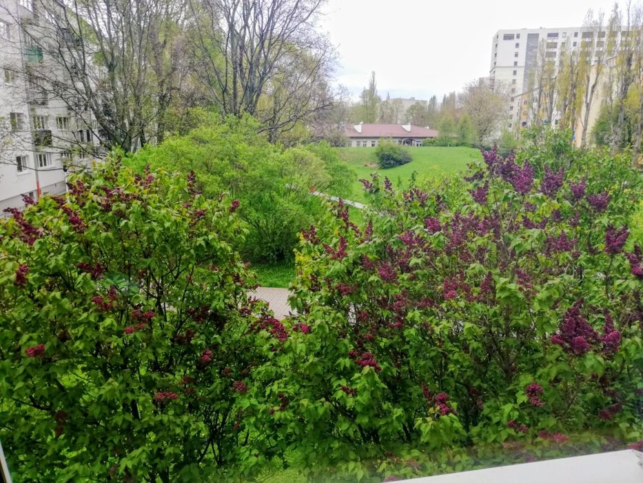Zdjęcie 8