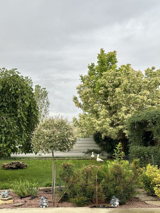 Продається сучасний будинок біля річки с Баловне