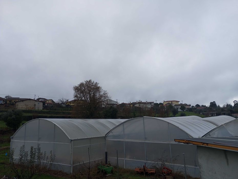 Estufa agrícola com 2100m2