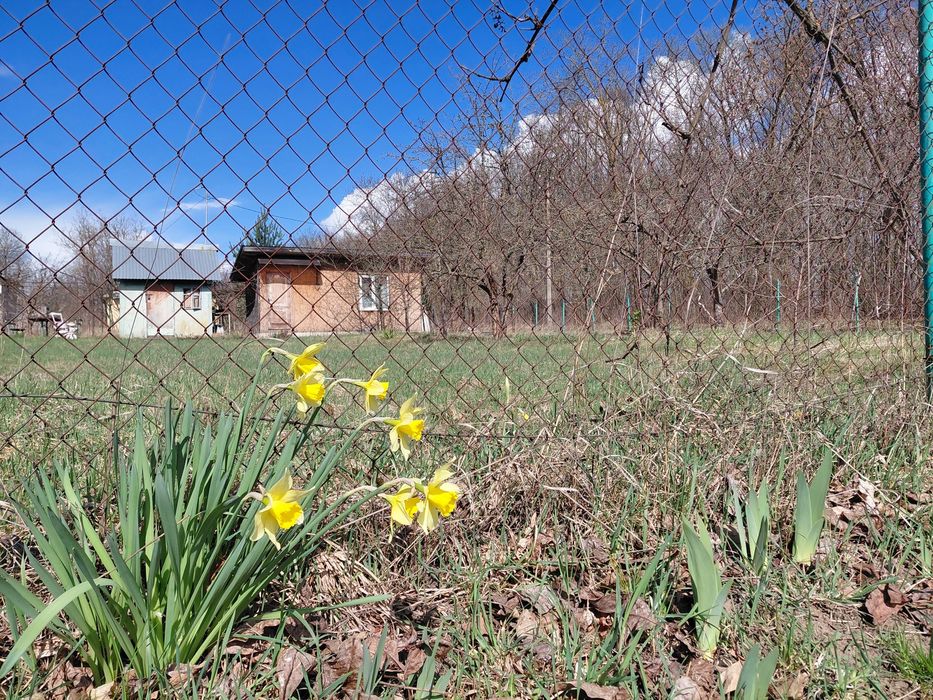 Продається дача 6 сот с. Романівка