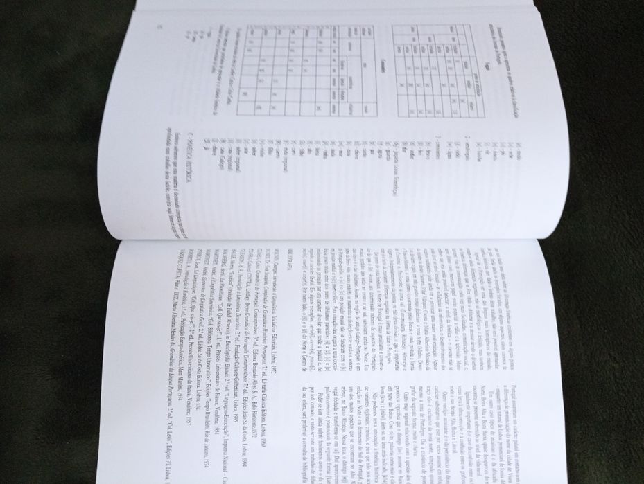 Pequeno curso de língua portuguesa.	Maria Inês Castelo Branco  1984*