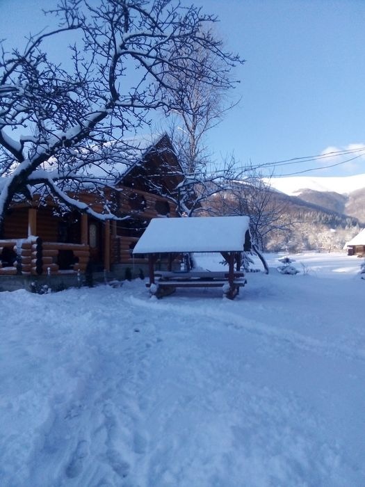 Котедж "Лісовий" дерев'яний домик. Можна і покімнатно