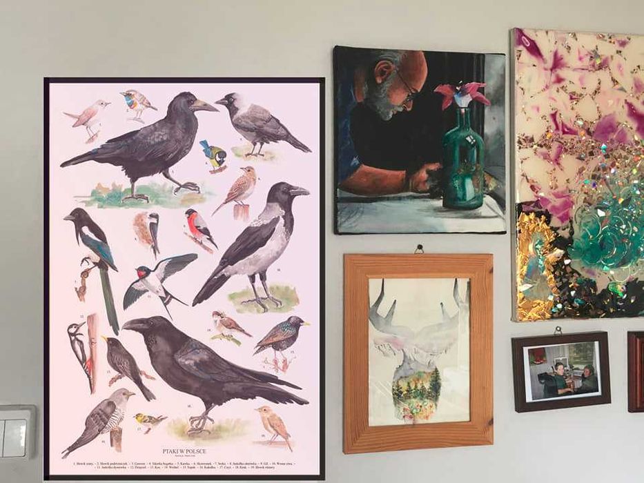 Plakat "Ptaki w Polsce" A2 autorski + gratis
