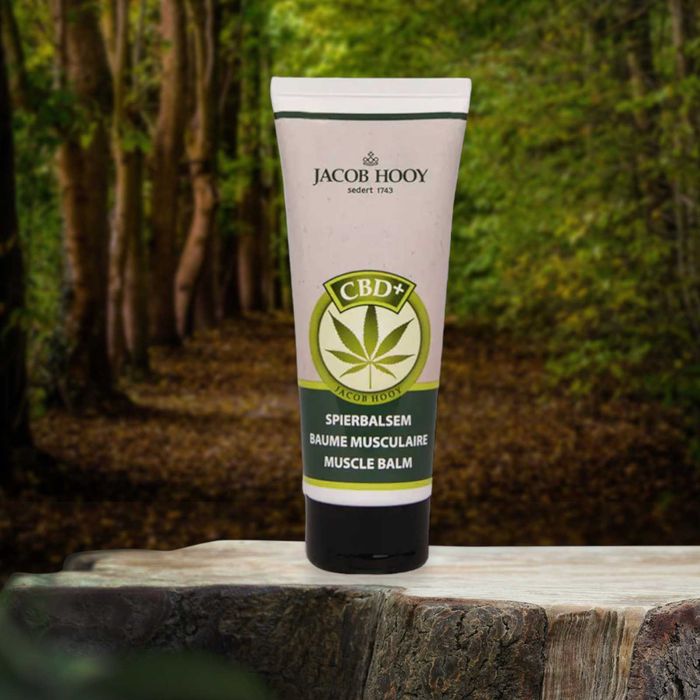 Jacob Hooy Balsam do Mięśni CBD Spierbalsem (75ml)