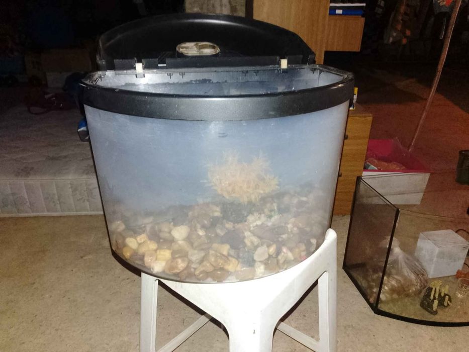 2 Aquários para venda