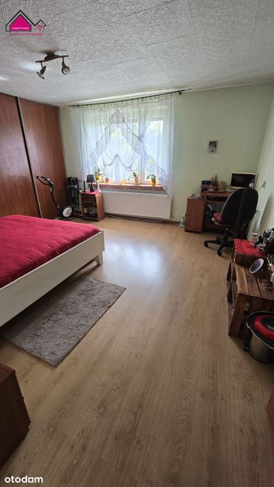 Dom na dużej działce 1,29ha 10km do Słupcy