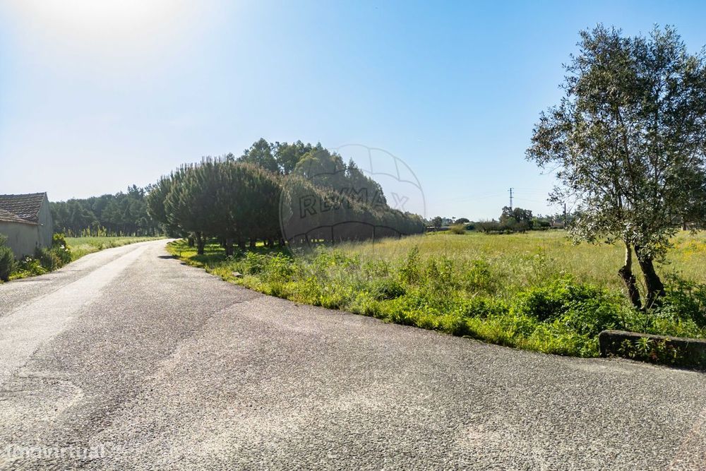 Terreno  para venda — Cadima, Coimbra