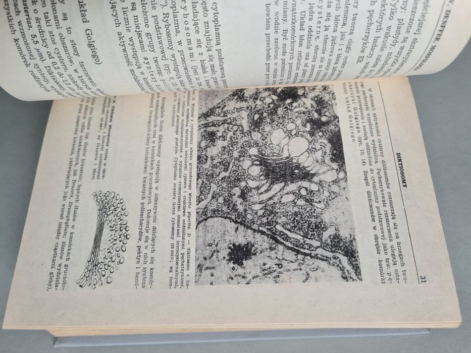 Botanika - E. Strasburger