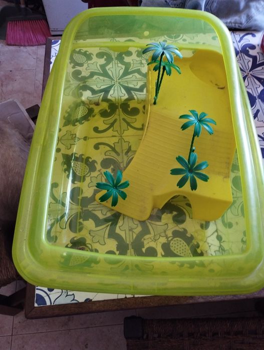 Aquário para tartaruga pequena