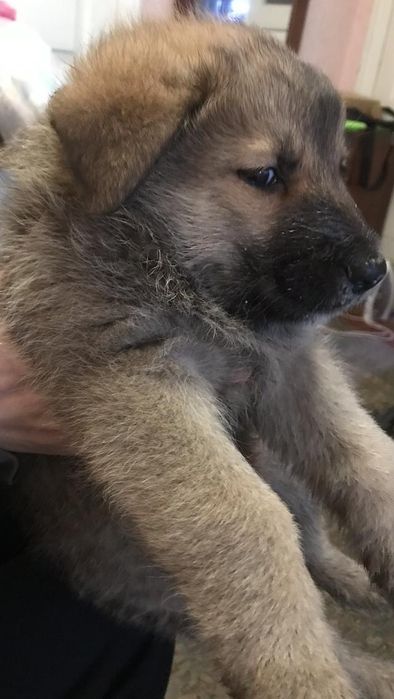 Акція - розпродаж!