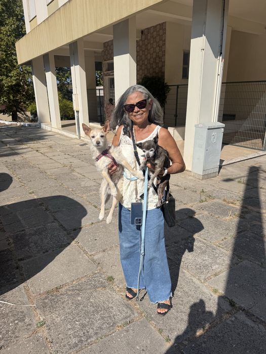 Hospedagem e passeios para cães.