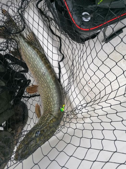 Domek w Borach Tucholskich Piła 8 osób całoroczny wynajem