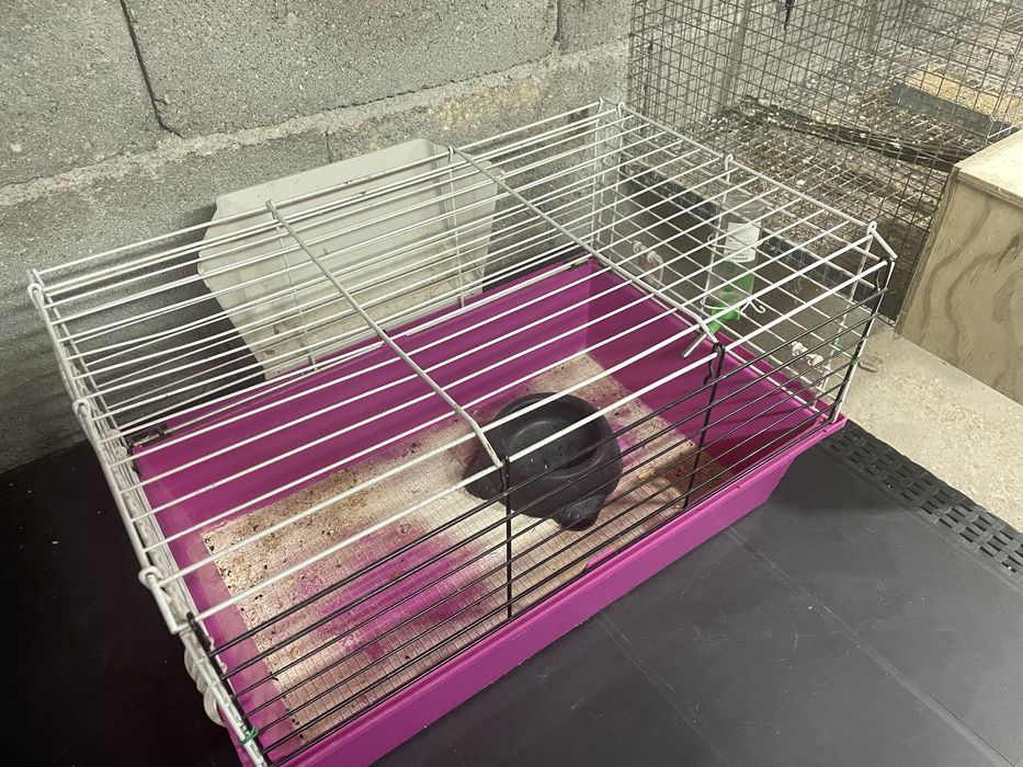 Vendo gaiola para porquinho da india