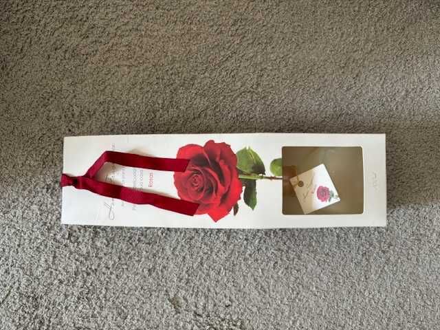 Perfumador para casa | Rosas | 100 ml