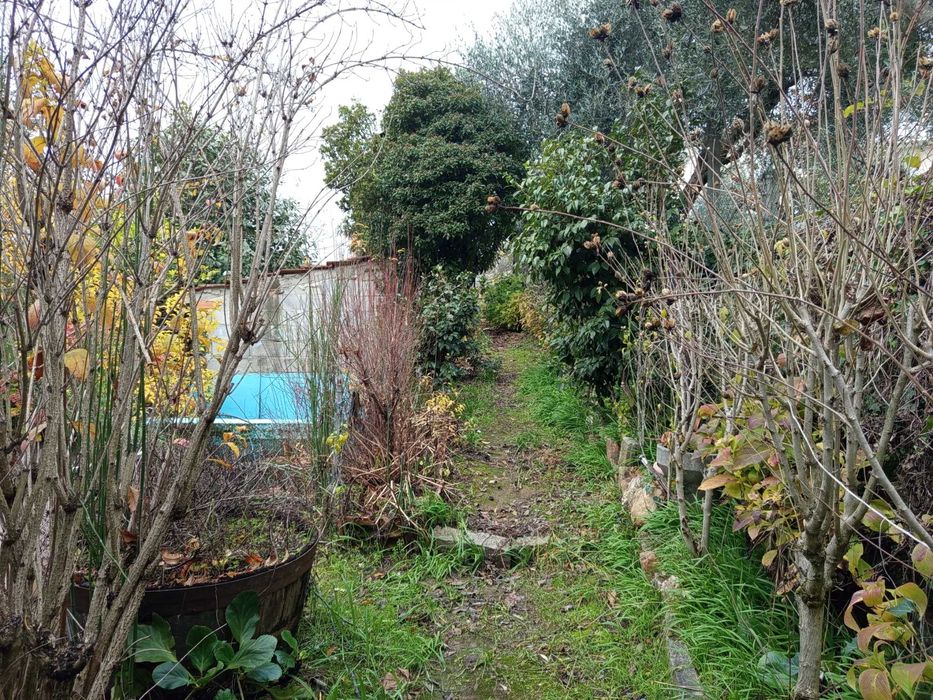Terreno agrícola- Penalva do Castelo