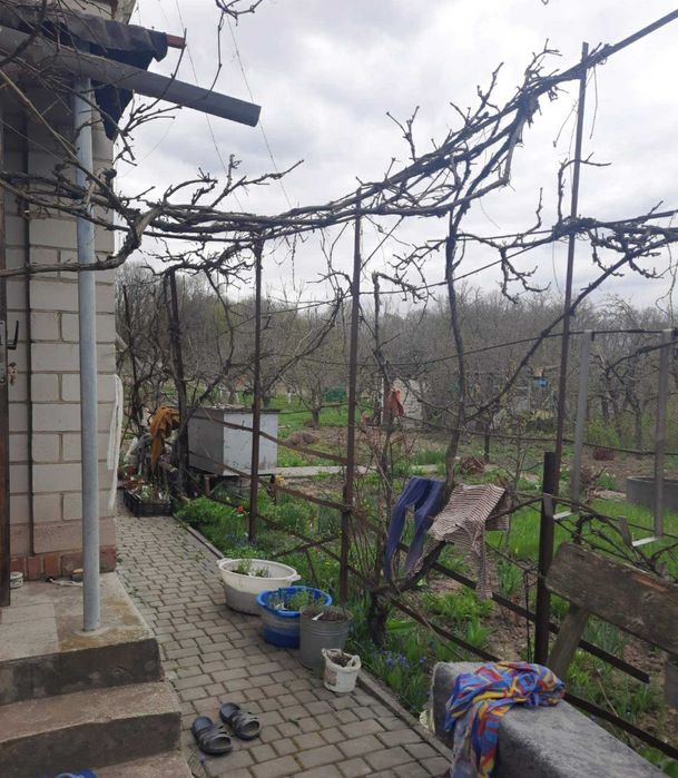 (7) Продаж будинку в с. Рибаче (2590)
