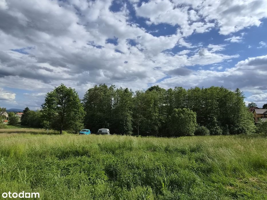 Działka budowlano-leśna w Dobranowicach - Widok 5
