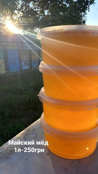 Продам мед  з власної пасіки.