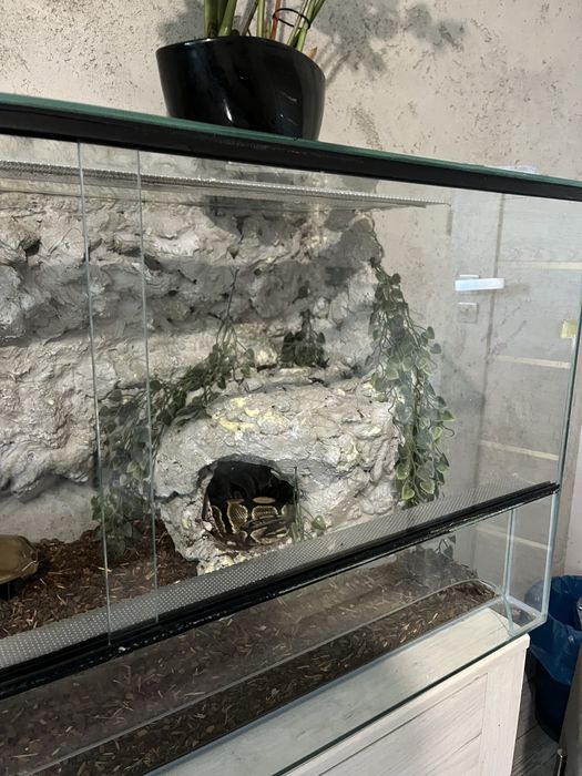 Modelka+terrarium