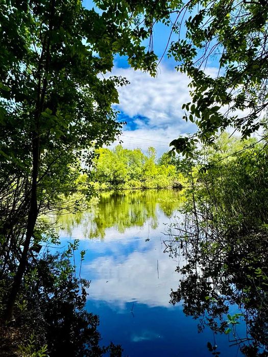 1 Лінія р. Снов! Перспективні земельні ділянки в с. Кобилянка! A11