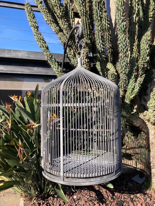 Gaiola de ferro, exclusiva para passáros